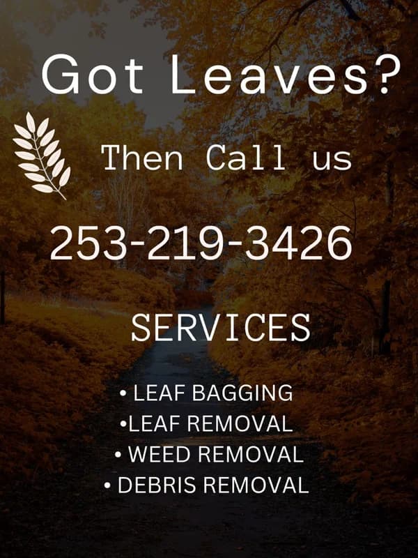 Maulolo Lawn Care Services work photo 4