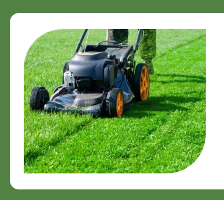 Maulolo Lawn Care Services work photo 5