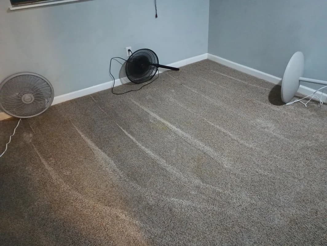 High Maintenance Cleaning work photo 2