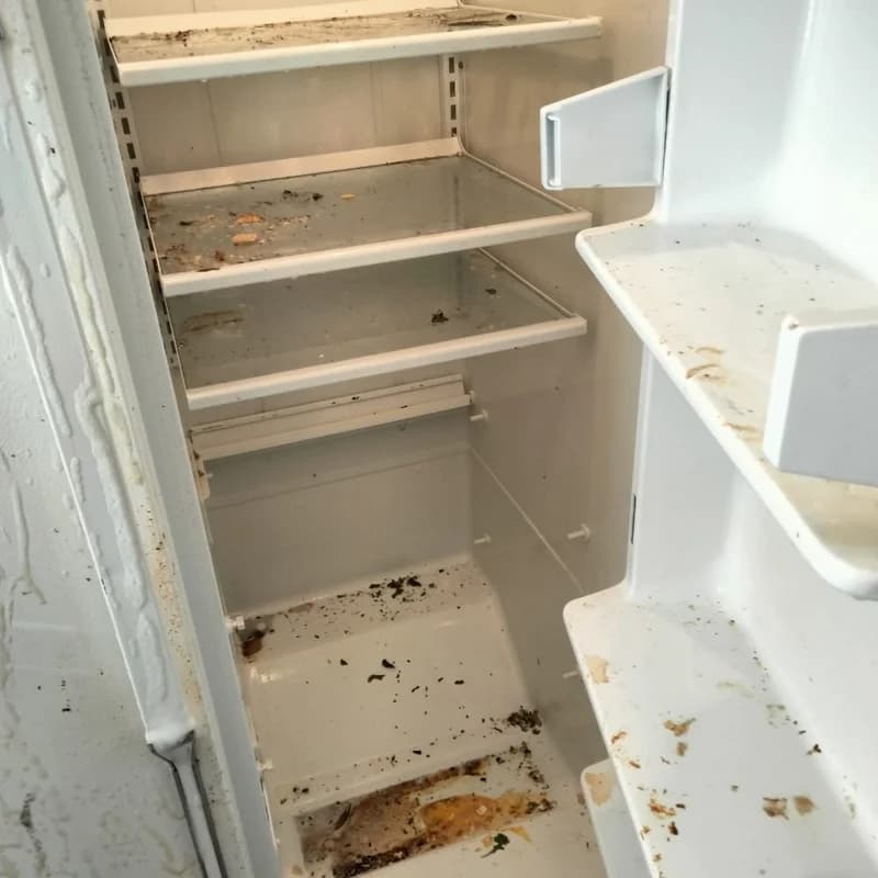 High Maintenance Cleaning work photo 4